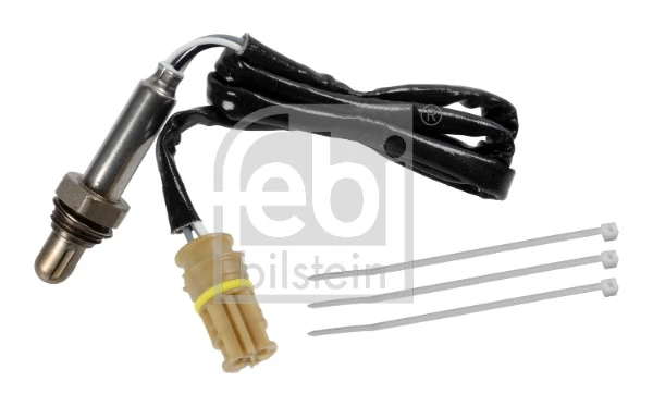 Oxygen Sensor
